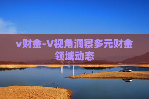 v财金-V视角洞察多元财金领域动态