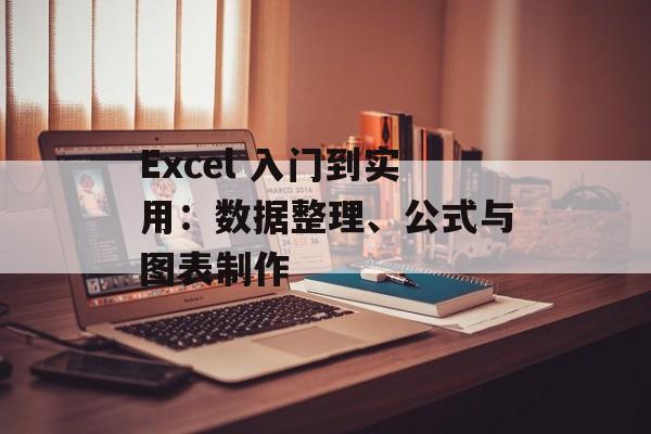 Excel 入门到实用：数据整理、公式与图表制作