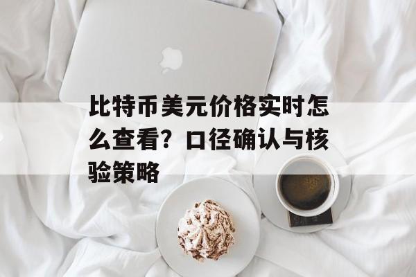 比特币美元价格实时怎么查看？口径确认与核验策略