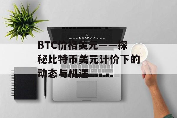 BTC价格美元——探秘比特币美元计价下的动态与机遇