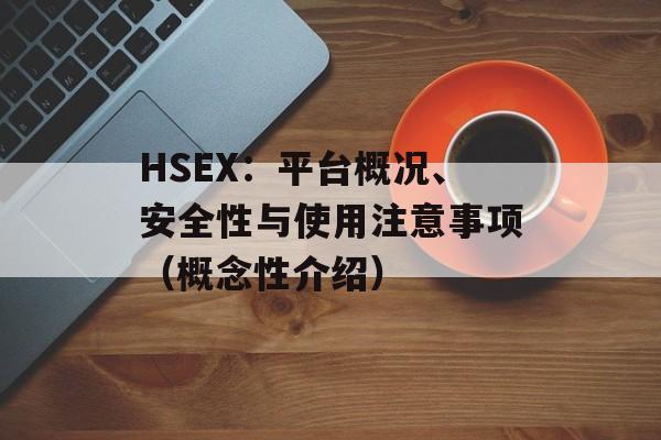 HSEX：平台概况、安全性与使用注意事项（概念性介绍）