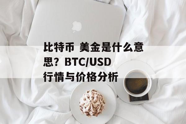 比特币 美金是什么意思？BTC/USD 行情与价格分析